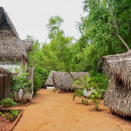 Nebula Nest Cafe & Hostel 黎明之村 外观 照片