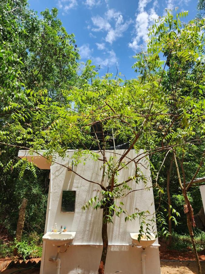 Nebula Nest Cafe & Hostel 黎明之村 外观 照片