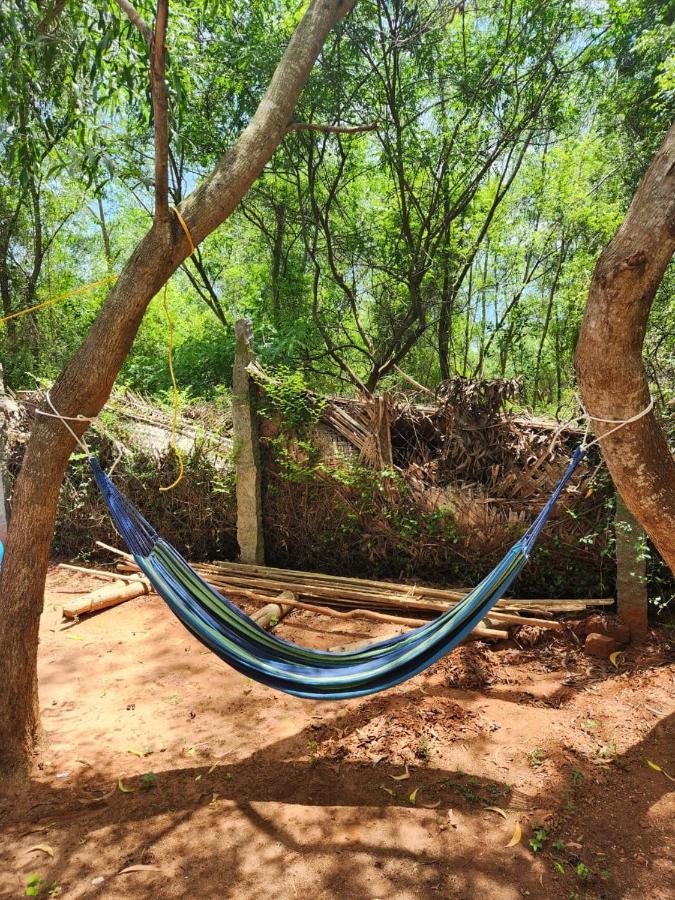 Nebula Nest Cafe & Hostel 黎明之村 外观 照片