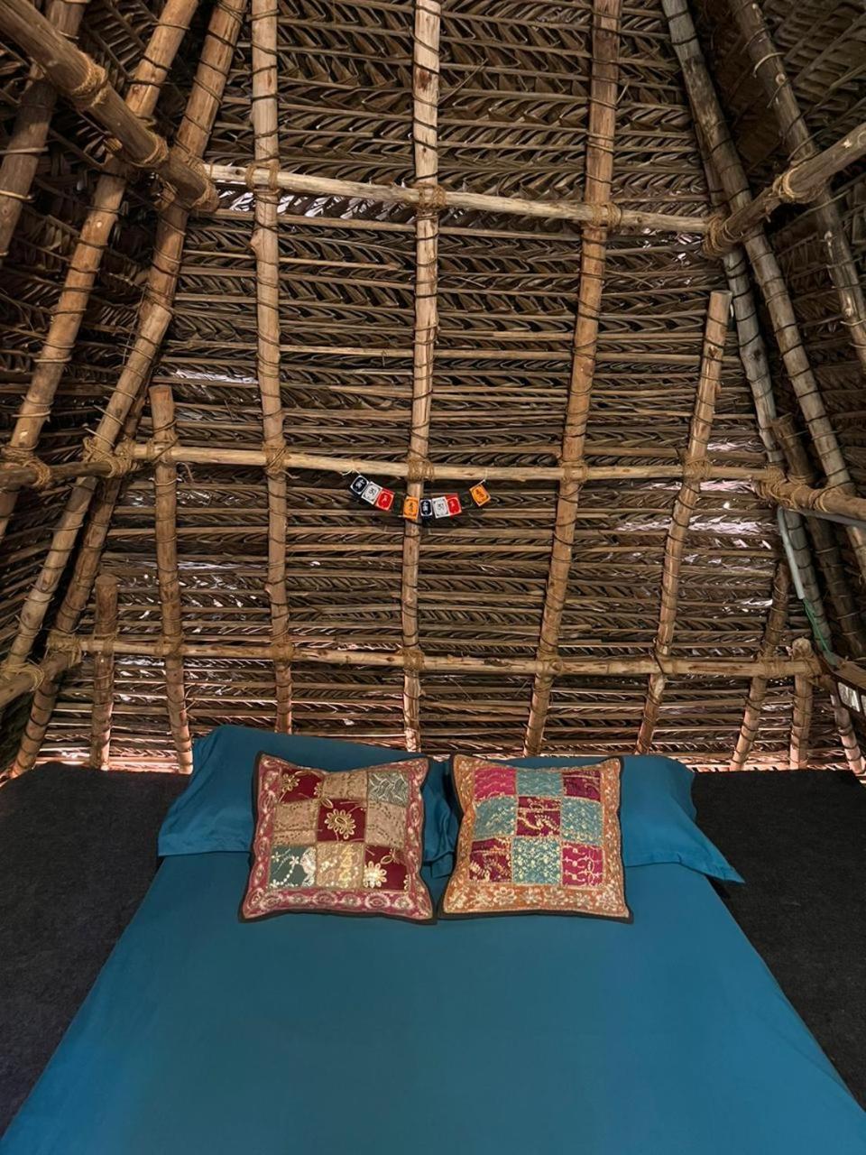 Nebula Nest Cafe & Hostel 黎明之村 外观 照片