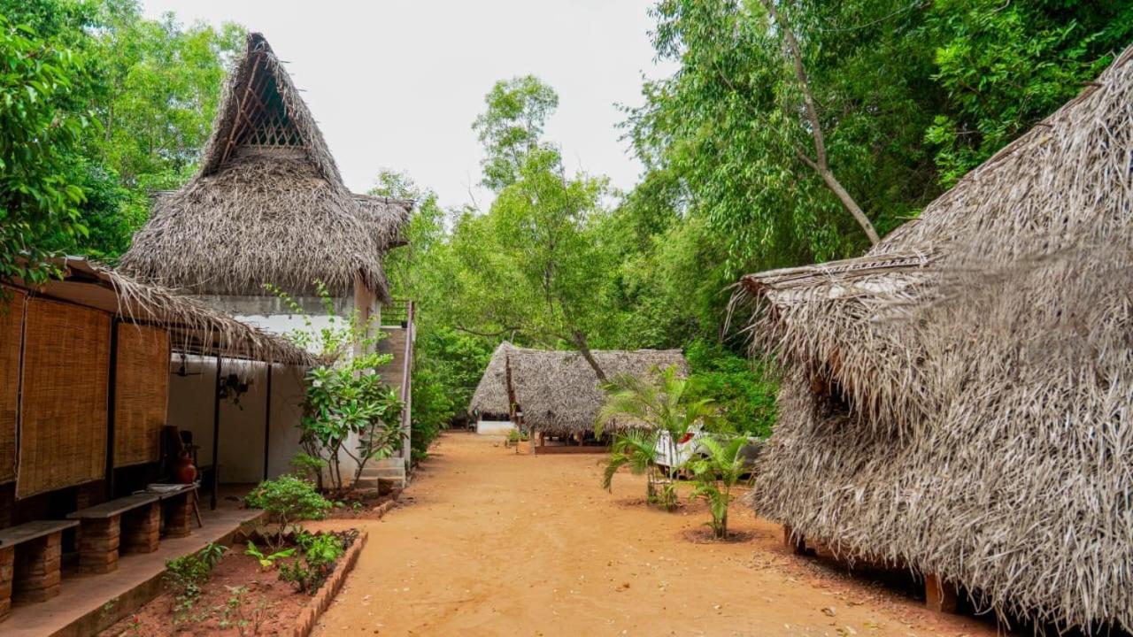 Nebula Nest Cafe & Hostel 黎明之村 外观 照片