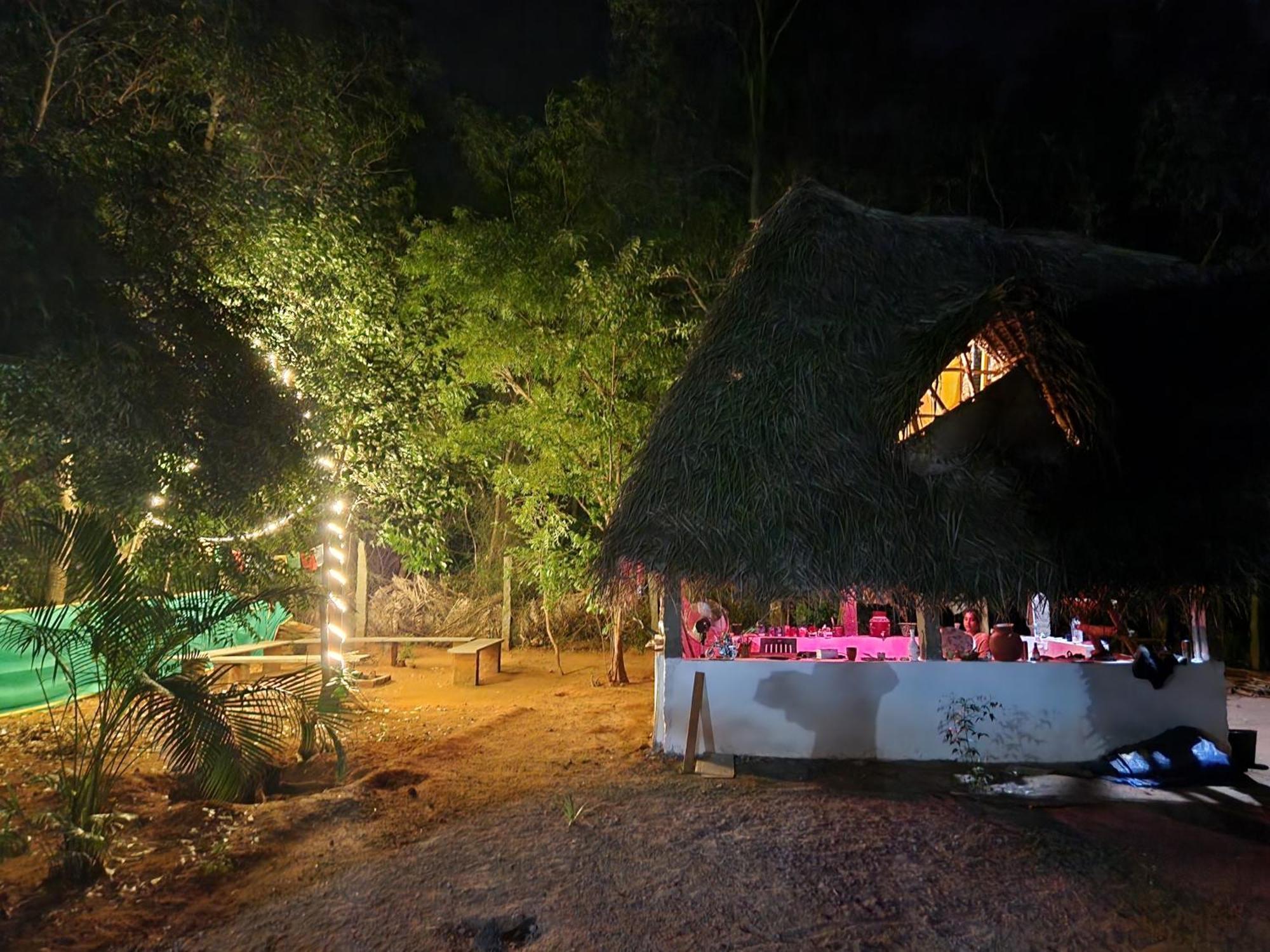 Nebula Nest Cafe & Hostel 黎明之村 外观 照片